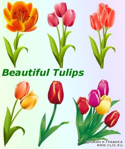 Прекрасные тюльпаны Beautiful Tulips Малютки феи спят в цветах тюльпана