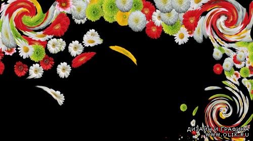 Футаж с альфаканалом - цветочная палитра