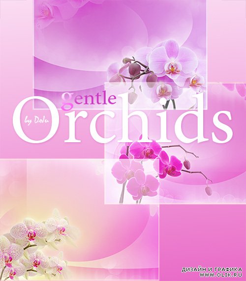 Высококачественные фоны "Нежные орхидеи". PHSP backgrounds Gentle orchids