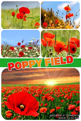 Растровый клипарт : Маковое поле / Poppy field