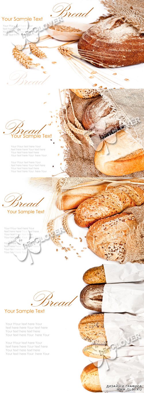 Variety of bread 0320