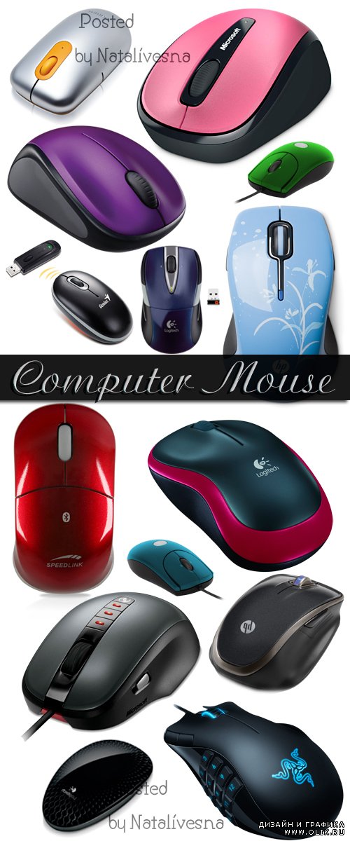 Клипарт в PNG – Компьютерная мышь/ Computer mouse - Clipart in PNG