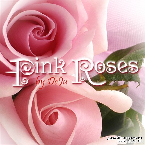 PNG клипарт "Роскошные розовые розы"/ PNG сlipart Pink roses