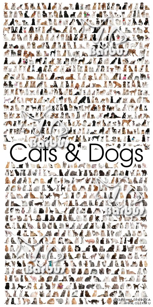 Large group of сats and dogs / Большая группа котов и собак