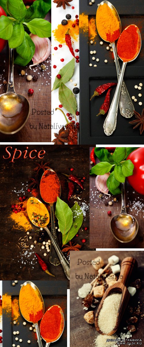 Кулинарные фоны с зеленью и специями / Culinary backgrounds with greens and spices