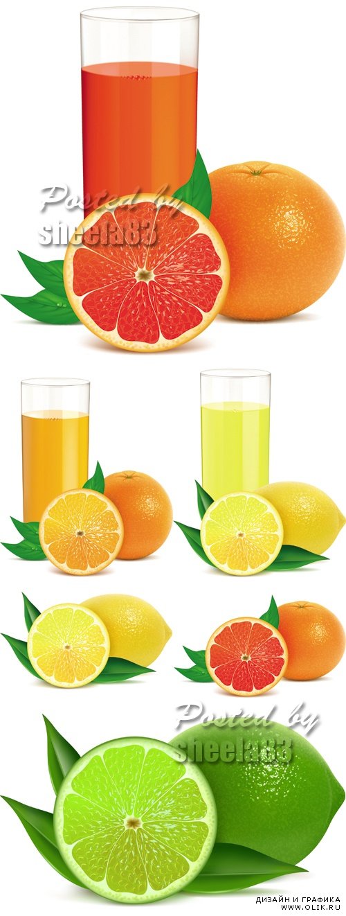 Juice & Fruits Vector