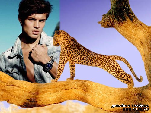 Рамка для фотошоп - Неотразимый леопард на дереве