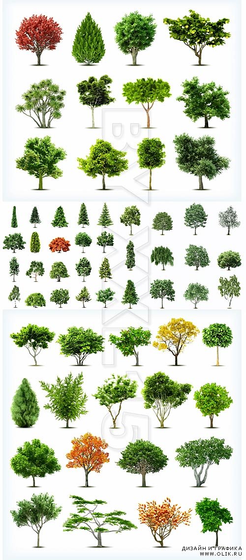 Realistic vector trees