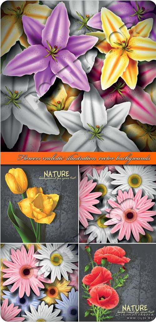 Цветы реалистчные векторные фоны | Flowers realistic illustration vector backgrounds