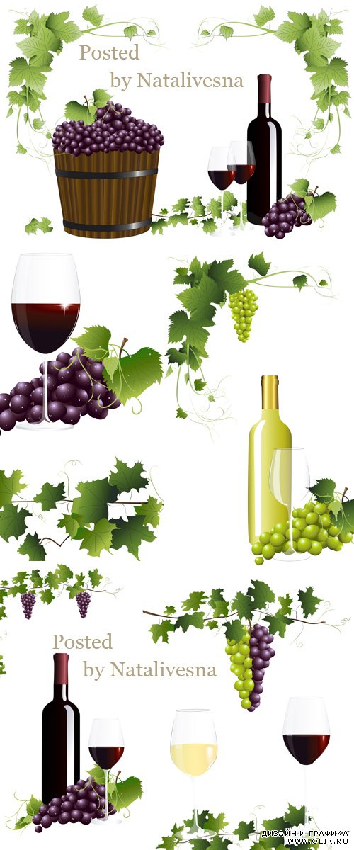 Виноградное вино и листья винограда в Векторе/ Grape wine and grapes leaves in the Vector