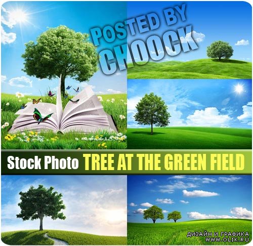Дерево на зеленом поле - растровый клипарт