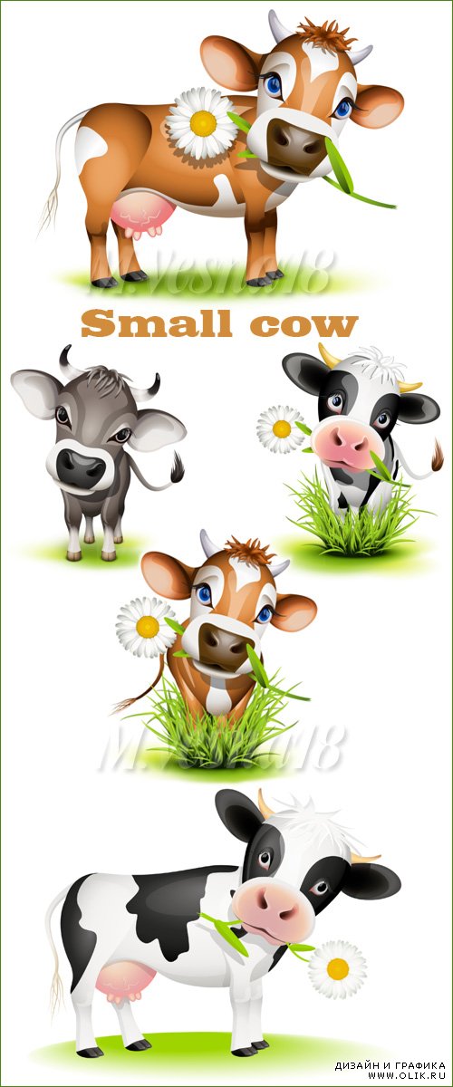 Маленькие коровы на белом фоне – векторный клипарт / Small cow on a white background - in the vector