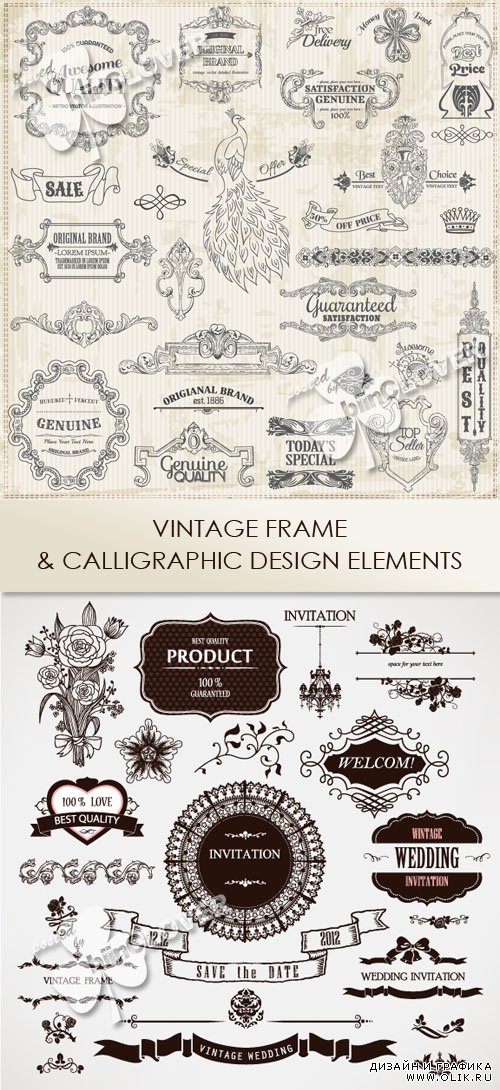 Vintage frame and calligraphic design elements 0435