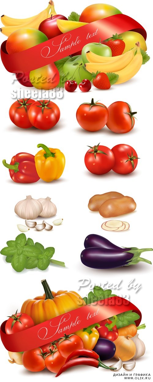 Fruits & Vegetables Vector