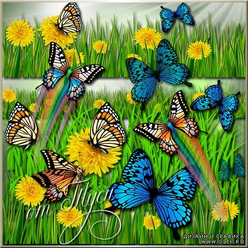 Клипарт - Трава, одуванчики, бабочки
