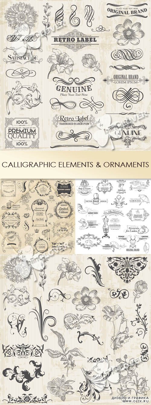 Calligraphic elements and ornaments 0443