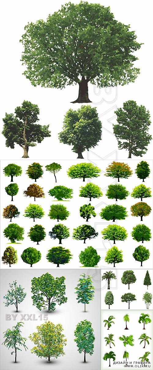 Green trees vector set