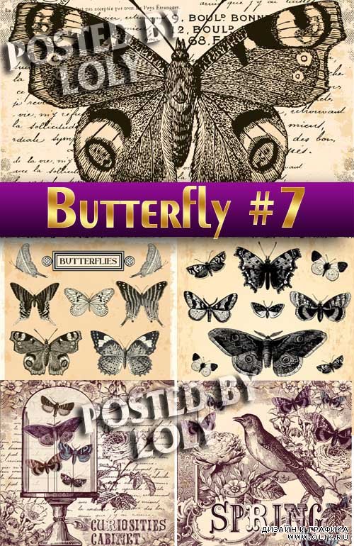 Прекрасные бабочки #7 - Векторный клипарт
