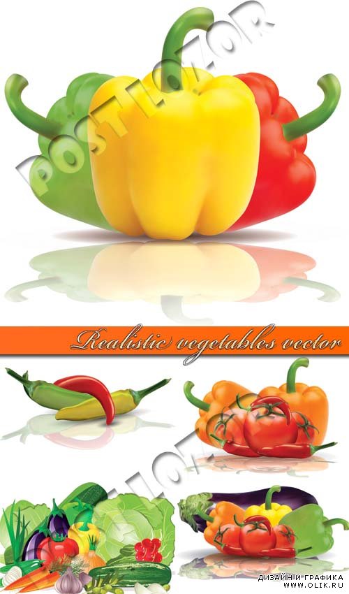 Реалистичные овощи | Realistic vegetables vector 