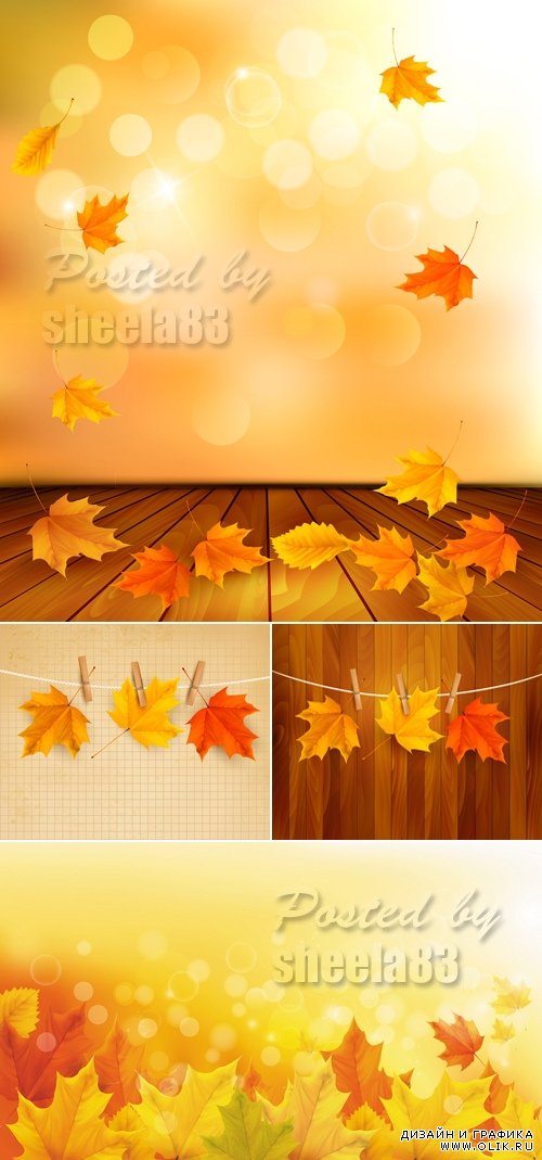Autumn Backgrounds with Leaves Vector
