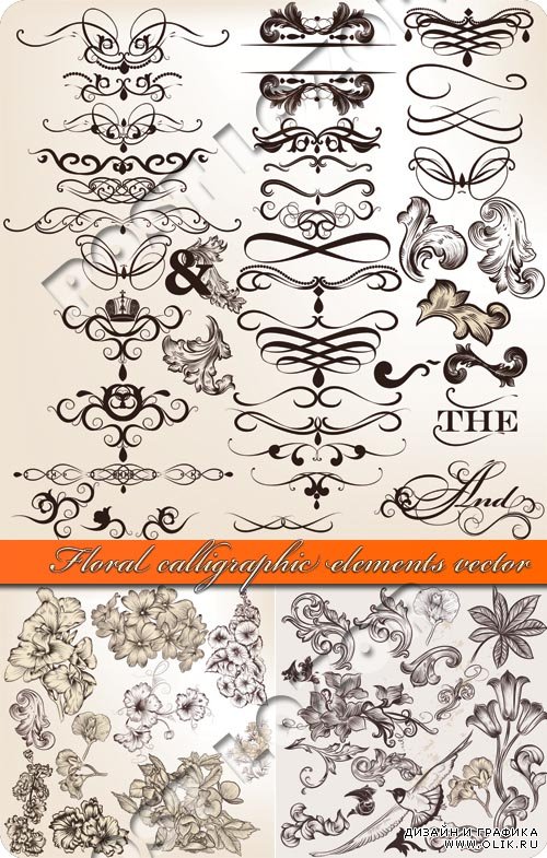 Цветочные элементы дизайна каллиграфия | Floral calligraphic elements vector