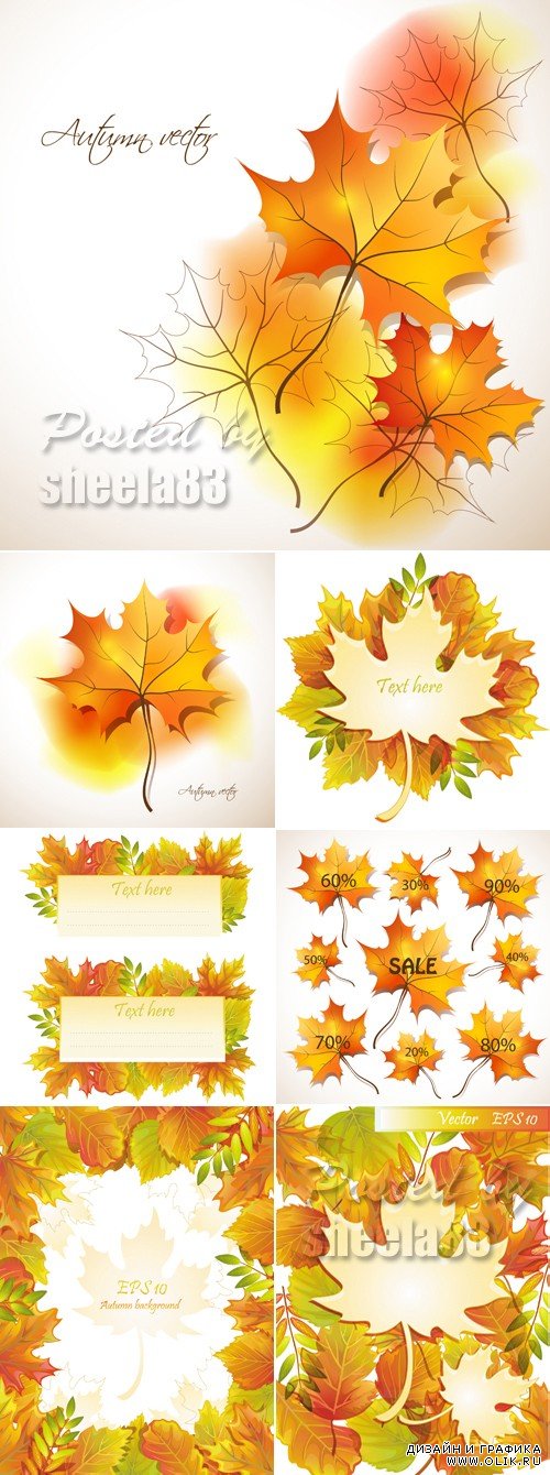 Autumn Leaves Backgrounds Vector 5