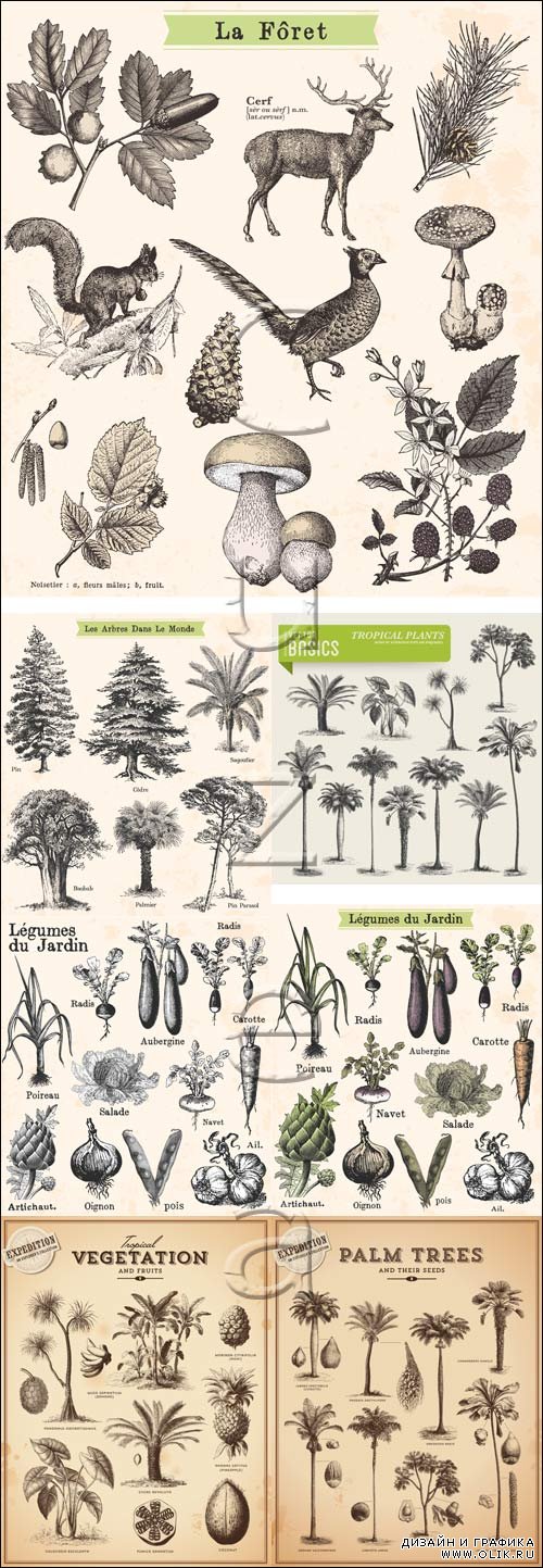 Векторные деревья и животные / Vector tree and animals collection