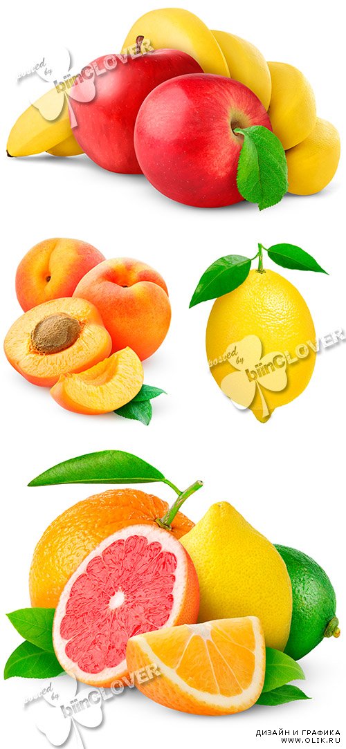 Fresh fruits and citrus 0490