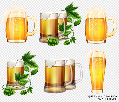 Клипарт - Кружки с пивом и с веточками хмеля на прозрачном фоне PSD