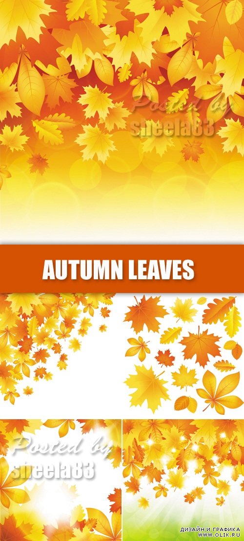Autumn Leaves Backgrounds Vector 6
