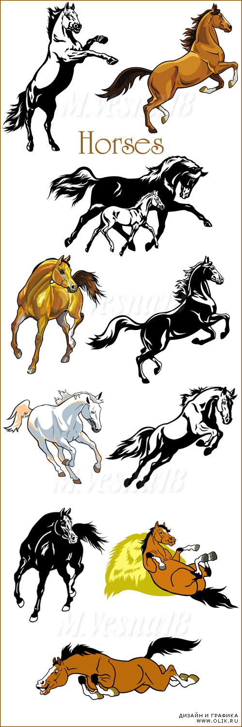 Рисованные лошади на белом фоне, векторный клипарт / Drawing of a horse on a white background, the vector clipart