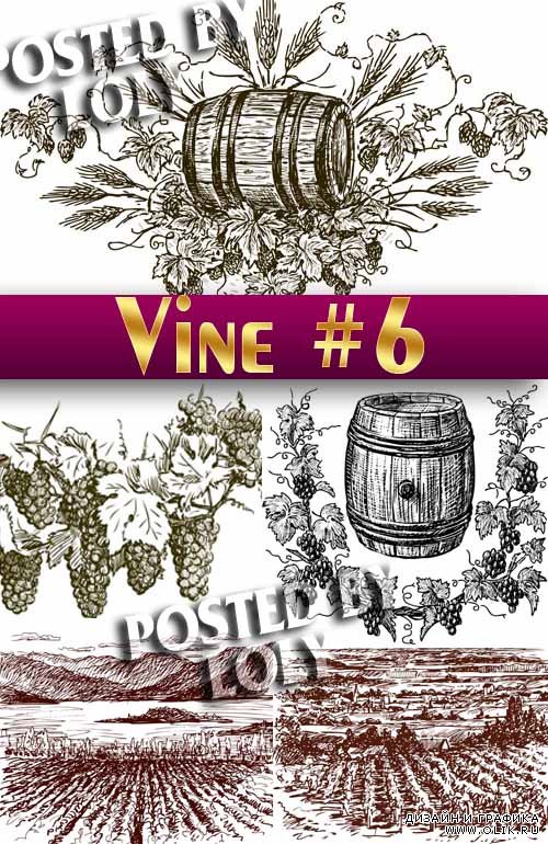 Рисованные виноградники #6 - Векторный клипарт