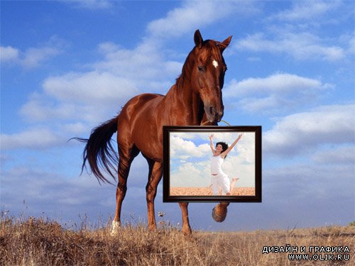 Рамка для фотографии - Лошадь держит картину с вашей фотографией