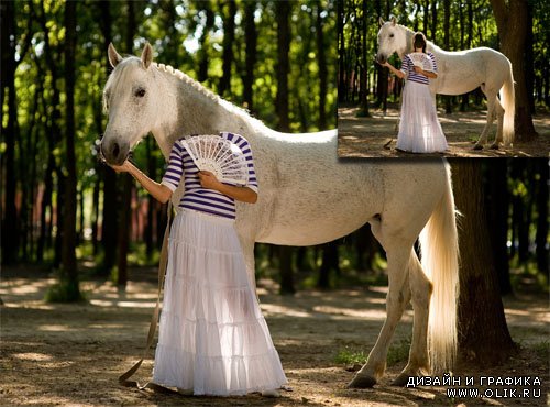 Шаблон для фотомонтажа - Фотосессия с белой лошадкой в сквере