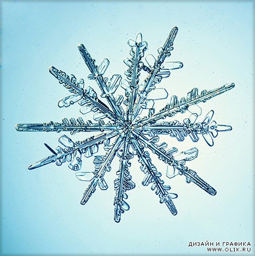 Растровый клипарт - Снежинки и кристаллы льда