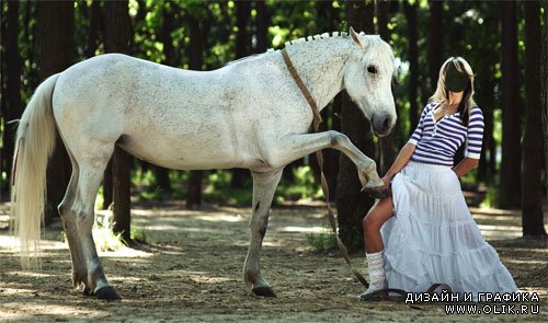 Шаблон psd женский - Фотосессия с белой лошадью
