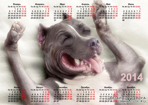 Календарь 2014 - Забавная собака