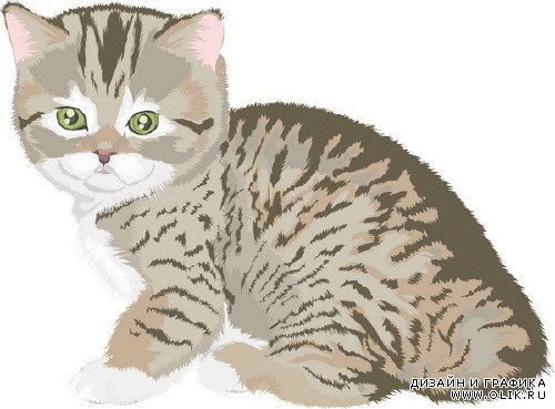 Кошки, коты и котята в векторе