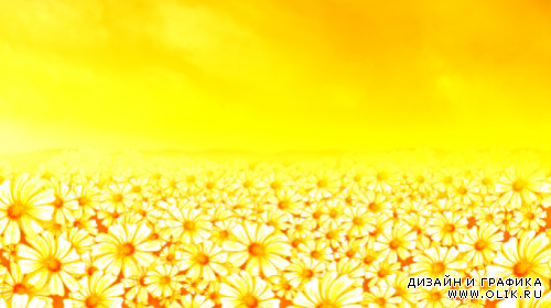 Цветы Под Солнцем HD / Sunflower Daze HD