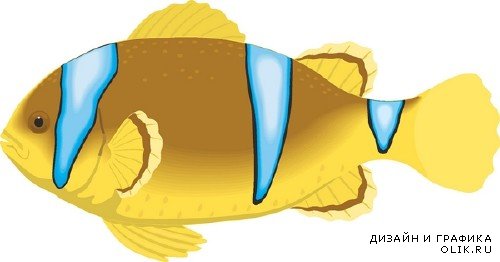 Аквариумные рыбки - векторные отрисовки