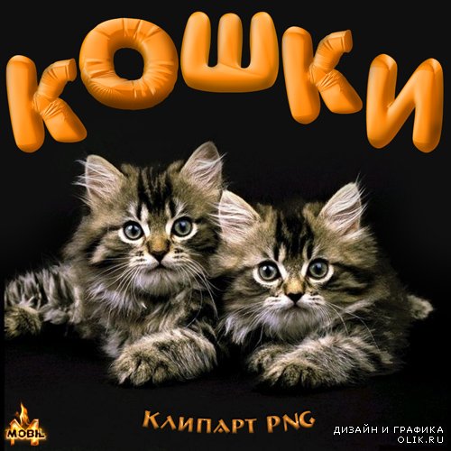 Клипарт PNG -  Кошки