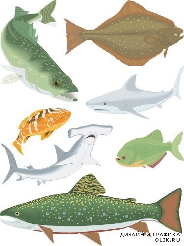 Морские обитатели: Рыба в векторе