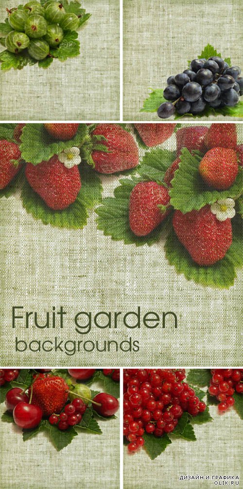 Fruit garden - backgrounds