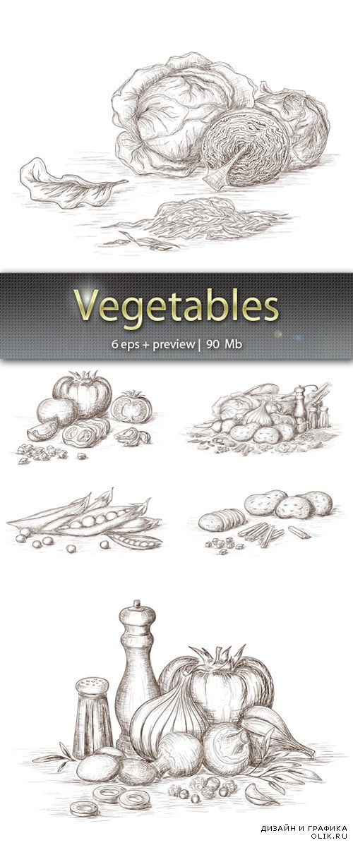 Овощи – Vegetables