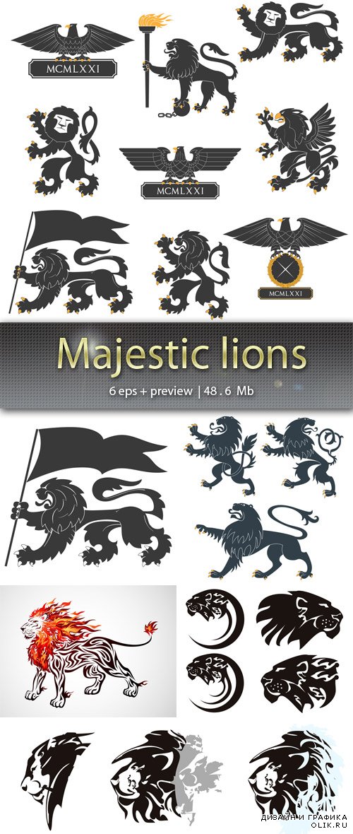 Величественные львы - Majestic lions