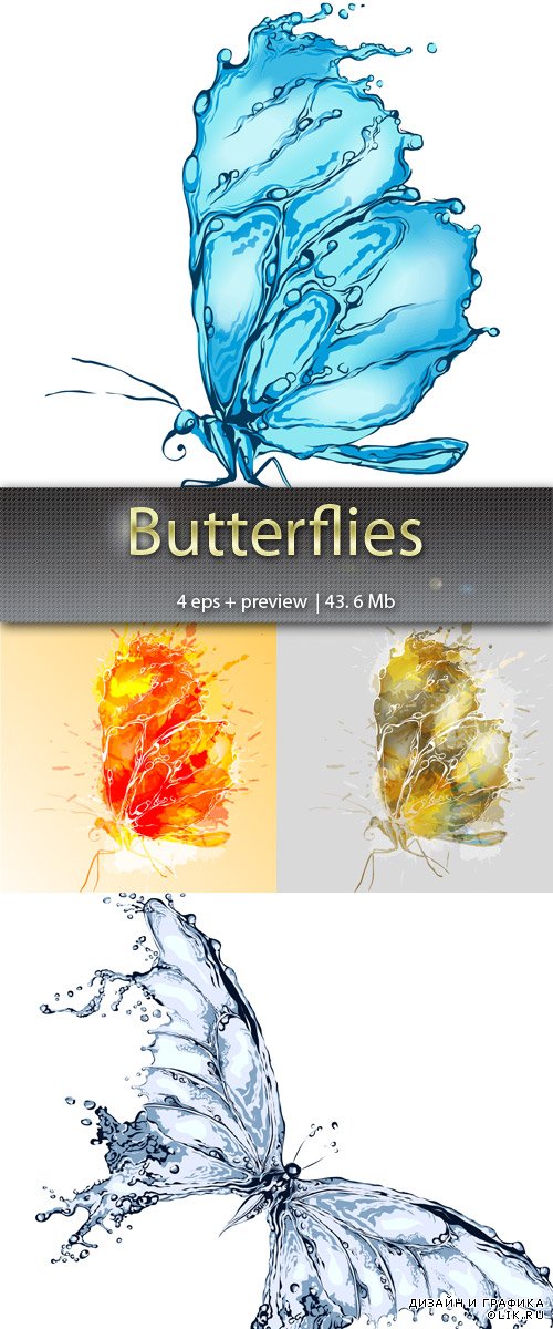 Бабочки – Butterflies