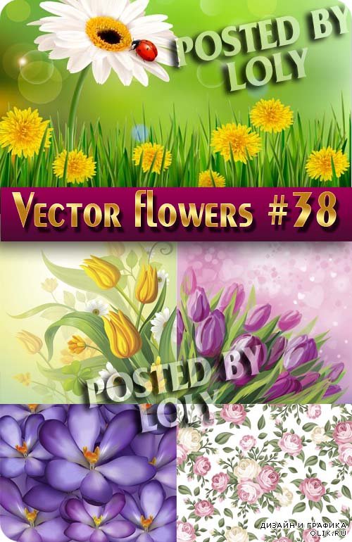 Цветы в векторе #38 - Векторный клипарт