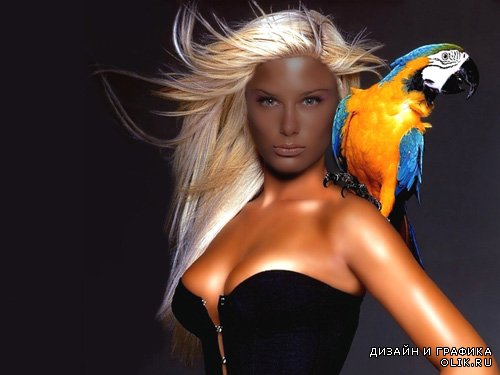 Шаблон для PHSP - Блондинка с красочным попугаем