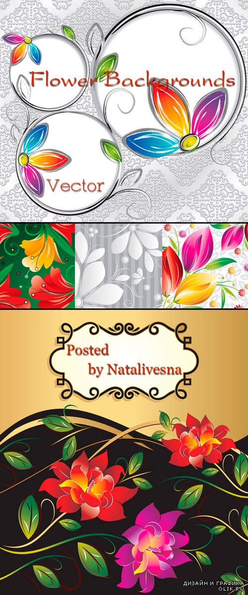 Цветочные  фоны в Векторе с рамками
