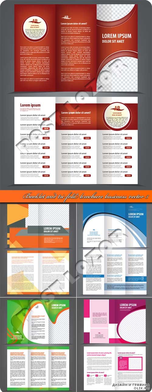 Буклет и бизнес брошюра из трёх страниц 5 | Booklet and tri-fold brochure business vector 5